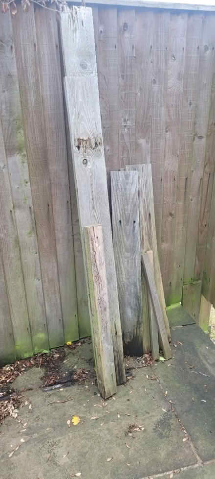 Photo of free Wood (Horsforth LS18) #1