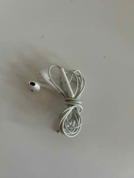 Photo of free Apple wired earphones (Woodside G20) #1