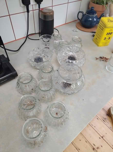 Photo of free Glass flower vasses (Near Lloyd park E17) #1