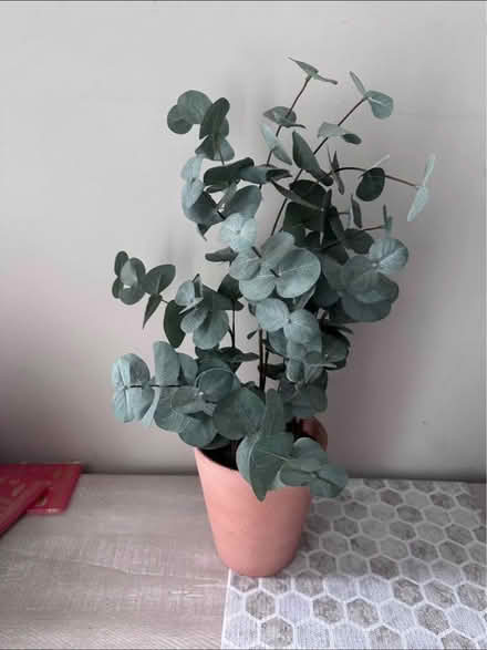 Photo of free Artificial plant (Agincourt) #1