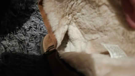 Photo of free Real UGG boots unisex (Chesser EH14) #4