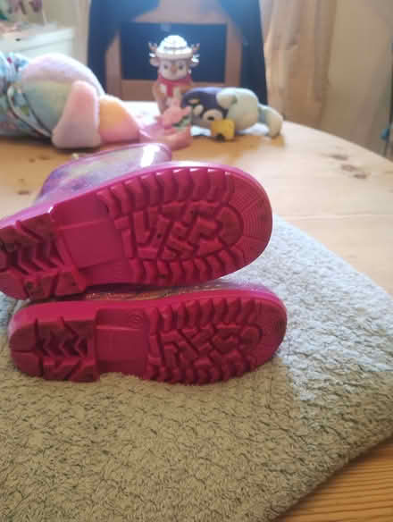 Photo of free Kids wellies (Brockley SE4) #2