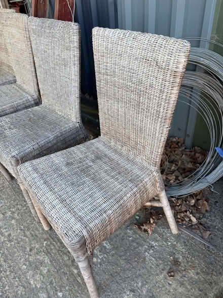 Photo of free Wicker Dining Chairs x 4 (East Mersea CO5) #3