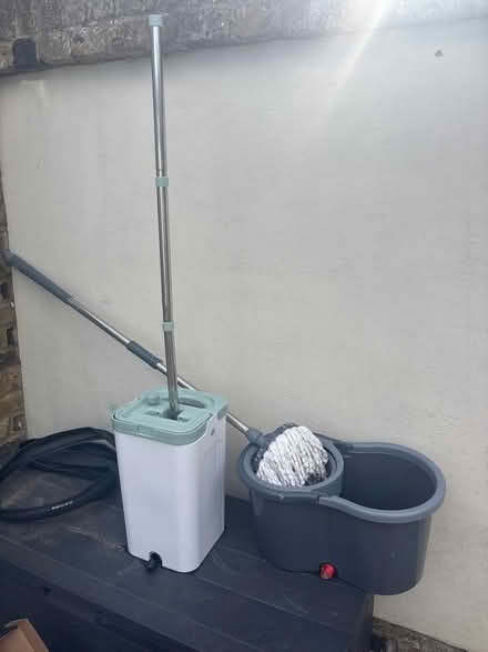 Photo of free Mops (Romford) #1