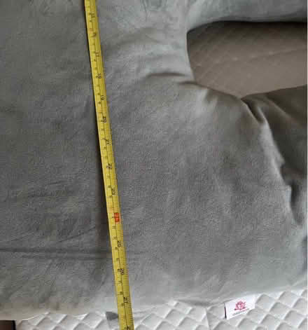 Photo of free Queen rose large maternity pillow (Buckley CH7) #3