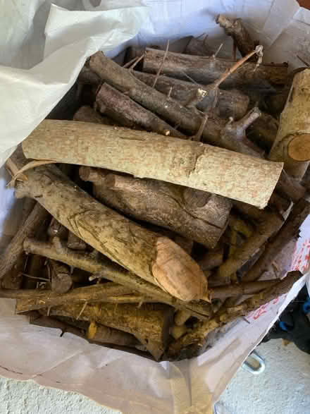 Photo of free Logs (Laindon SS15) #2