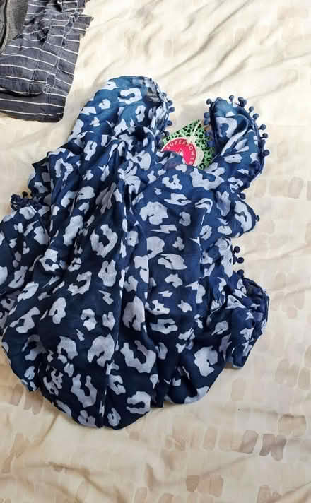 Photo of free Blue scarf large with tags -Gift (Bramley, Hants RG26) #2