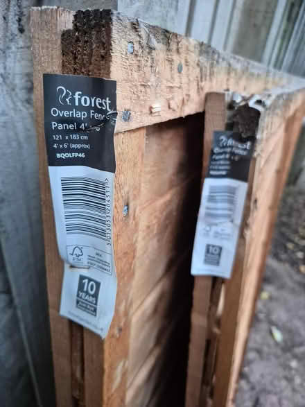 Photo of free Two 6'x4' Garden fences (Exeter) #2