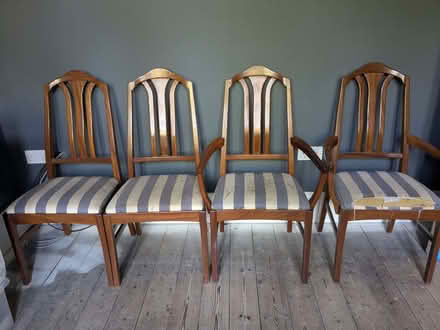 Photo of free 4 Dining room chairs (Chorleywood WD3) #3