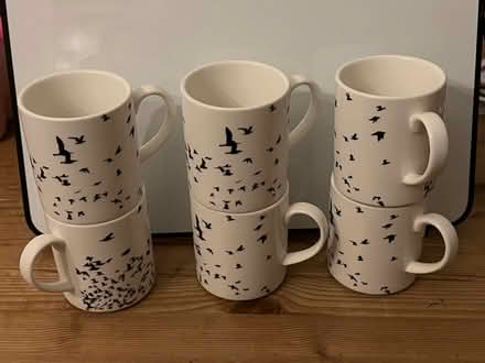 Photo of free 6 mugs with a bird design (Anerley SE20) #1