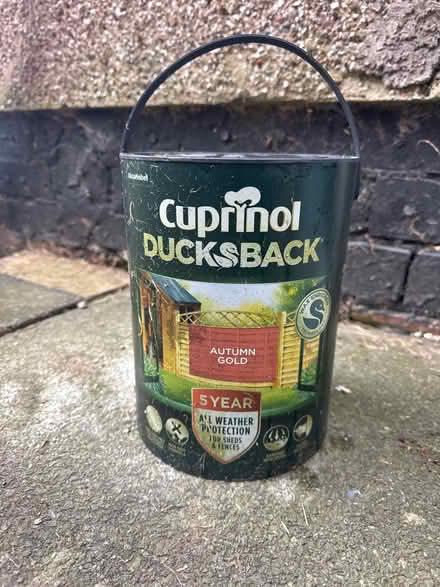 Photo of free Paint (Kingsland CV5) #1