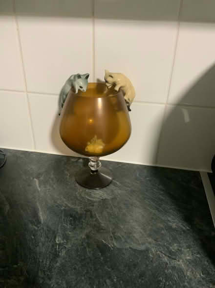 Photo of free Amber glass snifter (Erith DA8) #1