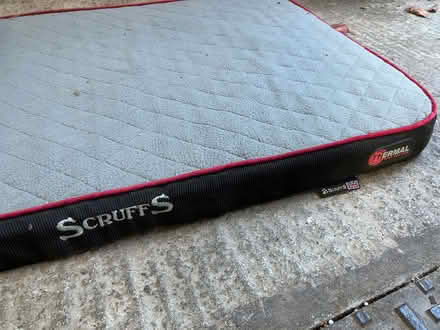 Photo of free Large flat dog bed (Ludlow SY8) #1