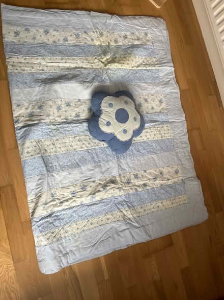 Photo of free Blanket (Sw11) #1