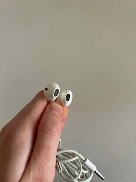 Photo of free Apple wired earphones (Woodside G20) #2