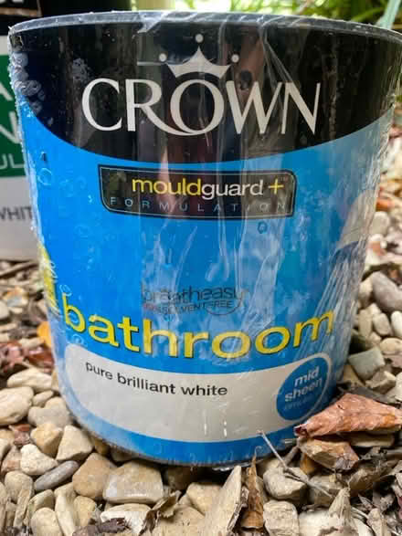 Photo of free White paint (University of Bath BA2) #4