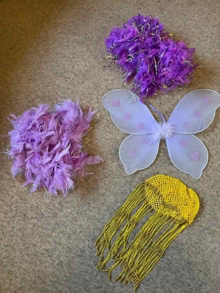 Photo of free Fairy wings, feather boas and beaded headpiece (Malvern WR14) #1