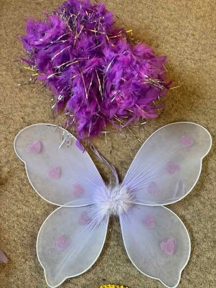 Photo of free Fairy wings, feather boas and beaded headpiece (Malvern WR14) #4