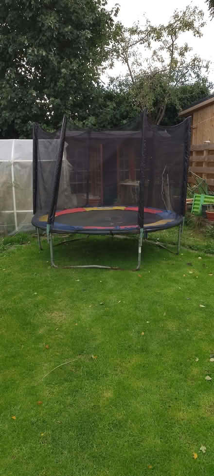 Photo of free large round trampoline (Crookes S10) #1