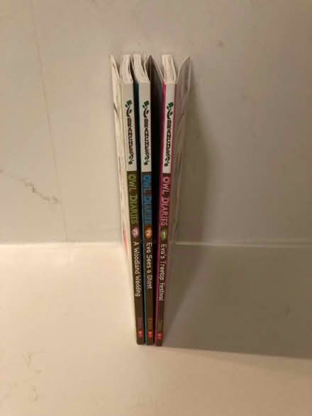 Photo of free 3 owl diaries books (Bayview/highway 7) #2