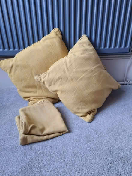 Photo of free Yellow cushions (Newington EH9) #1