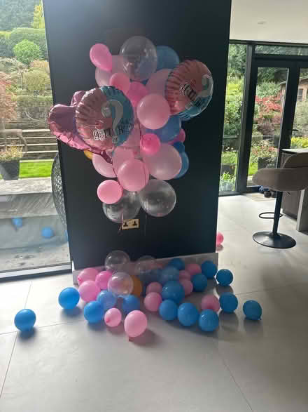 Photo of free Ballon’s (Ilkley LS29) #1