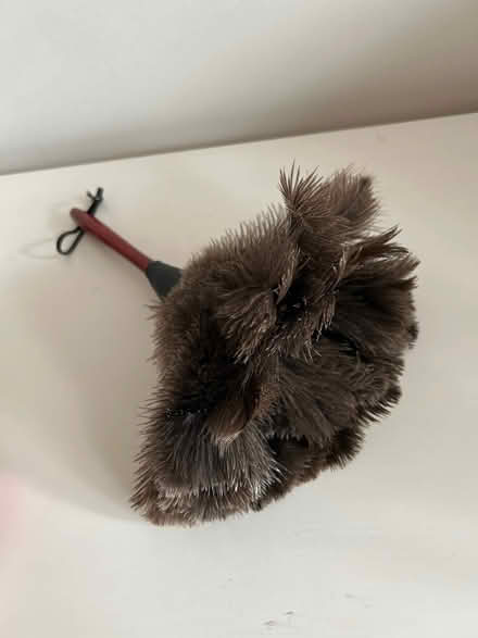 Photo of free Real ostrich feather duster with wooden handle (Woodside G20) #2