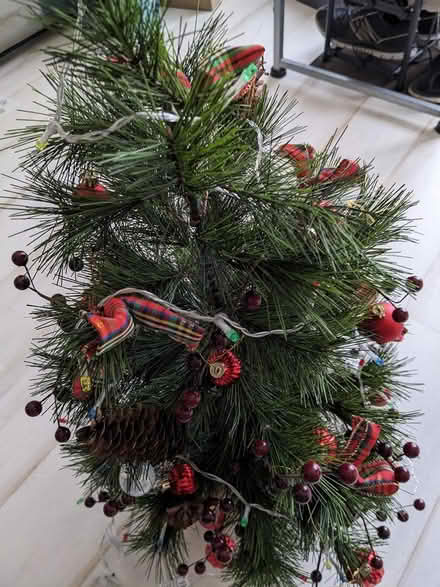Photo of free small xmas tree (snodland) #1