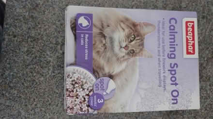 Photo of free Calming spot on for cats (TA14 6QW stoke sub hamdon) #1