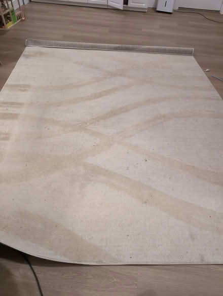 Photo of free 8x10 light color rug (Aspen Hill) #1