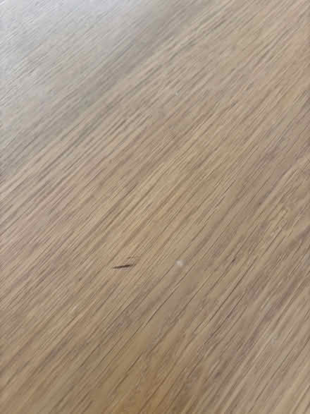 Photo of free Dining table (Collingham LS225fs) #2