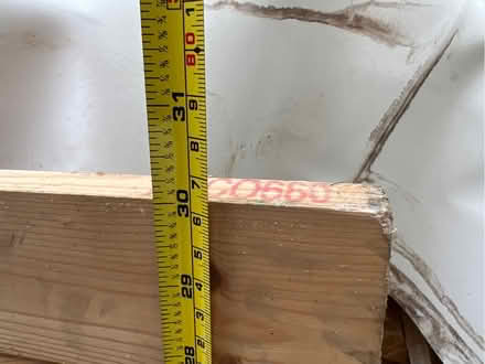 Photo of free Pine door (Blacklands TN34) #3