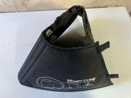Photo of free Comfy cone of shame for dog (Ludlow SY8) #2