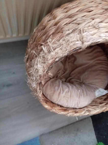 Photo of free Cat bed (Puds3 LS13) #2