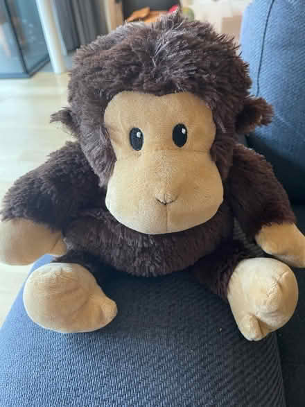 Photo of free Plush monkey heated beanbag (North Road BA2) #2
