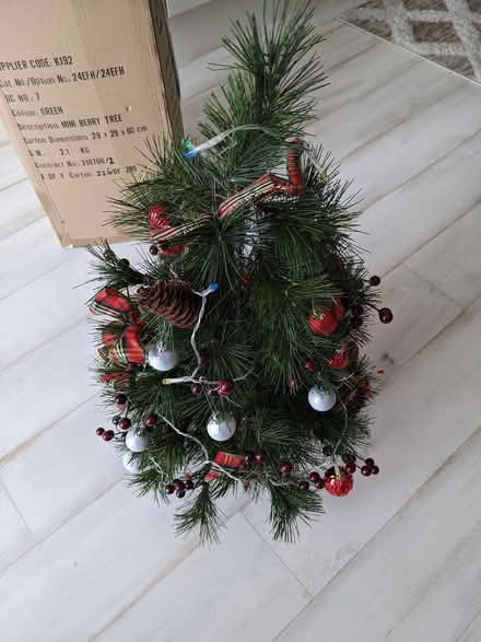 Photo of free small xmas tree (snodland) #2