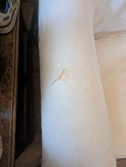 Photo of free Cream sofa (Ufford IP13) #2
