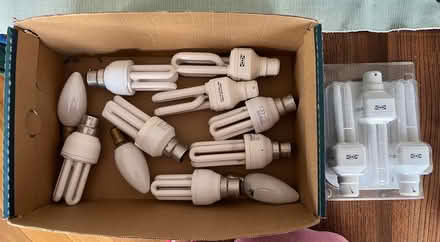 Photo of free Various light bulbs (Rayleigh SS6) #2