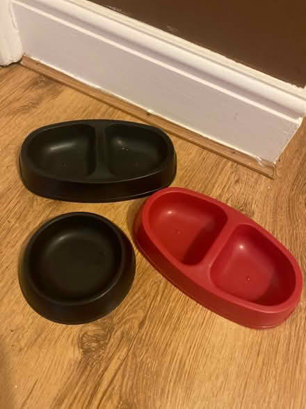 Photo of free Plastic Pet Bowls (Tadworth KT20) #1