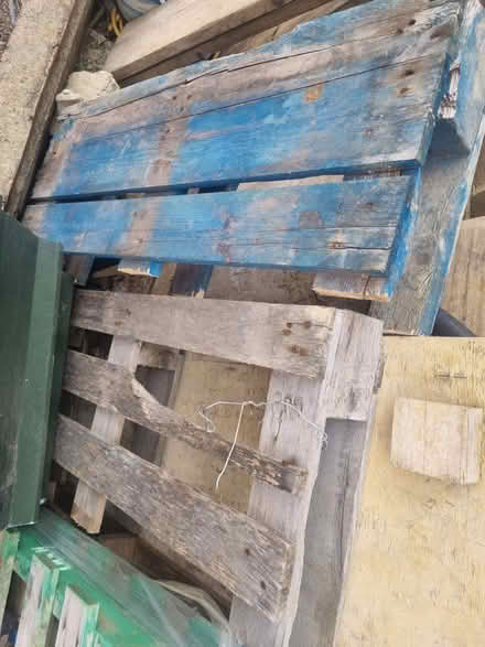 Photo of free 2 pallets and 2 half pallets (Westdene, Brighton BN1) #4