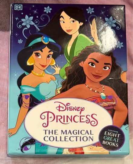 Photo of free Disney Princess Books (Winnersh RG41) #1