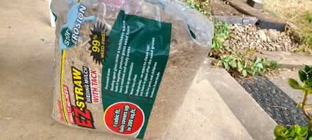 Photo of free plant and garden stuff (North Denver) #4