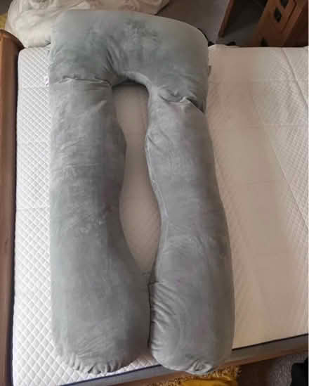 Photo of free Queen rose large maternity pillow (Buckley CH7) #1