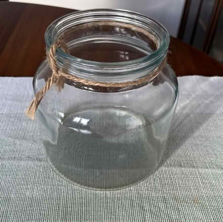 Photo of free Various indoor plant pots (Rayleigh SS6) #2