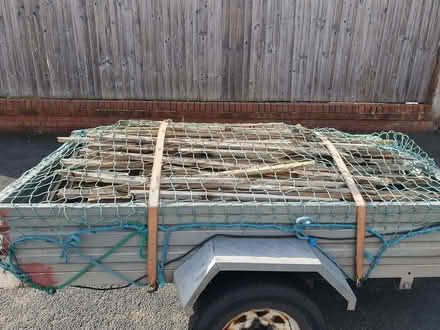 Photo of free trailer full of dry bonfire woode (Gayton CH60) #1