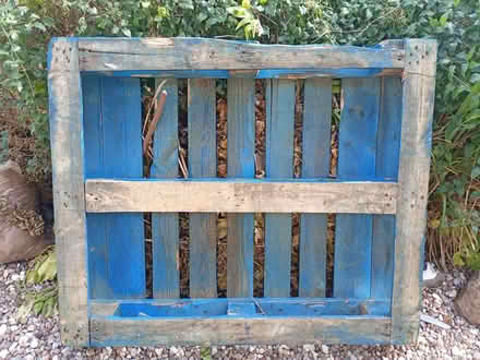 Photo of free Blue Pallet - link top, Malvern (Malvern Link WR14) #1
