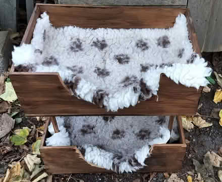 Photo of free Bunks for Cats (Lambridge BA1) #1