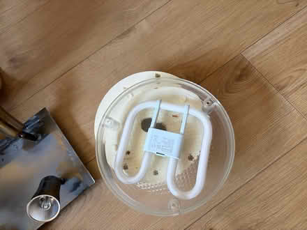 Photo of free Shades and ceilings lamps (Hoxton, N1 6NT) #4