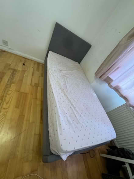 Photo of free Single bed no mattress (West Ealing W13) #1