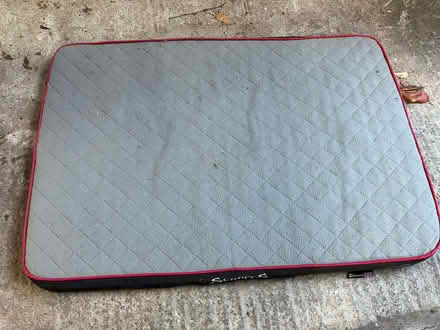Photo of free Large flat dog bed (Ludlow SY8) #2